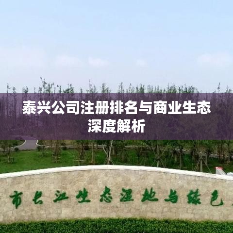 泰兴公司注册排名与商业生态深度解析