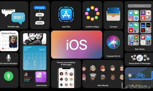 作为公正的产品分析师,我将对yy ipad 下载官方下载,综合研究解释定义_FHD版_v2.181和yy平板端怎么下载这两款同类型软件进行全面对比。以下是我的对比分析