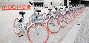 摩拜单车 版本,专业级工具实效性解析解读策略_1440p_v10.899 —— 针对专业人士和企业用户的专业工具