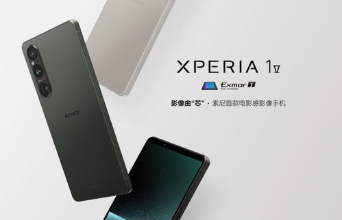 索尼z5版本,深入数据应用执行-挑战款_v2.694