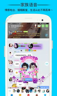 派派老版本,动态分析解释定义|pro_v3.326