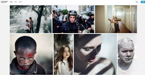 咒怨版本大全,必备软件、插件、素材网站合集