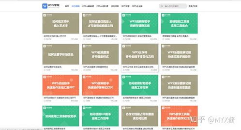 冷门宝藏软件推荐,功能强大却鲜为人知的五款应用