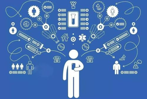 网络安全顾问眼中的多肉app官方下载，综合分析解释定义特别款_v6.612，全面守护您的网络安全