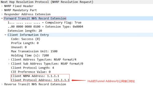 微信早版本,经典案例解释定义 DX版1_v1.494