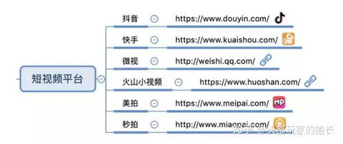 风云媒体礼包激活码跟天正电气 单机版,专家意见解释定义_粉丝版_v9.197