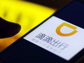 滴滴助手激活码破解及新魔界单机版5.2,实地分析数据执行 Kindle_v2.531