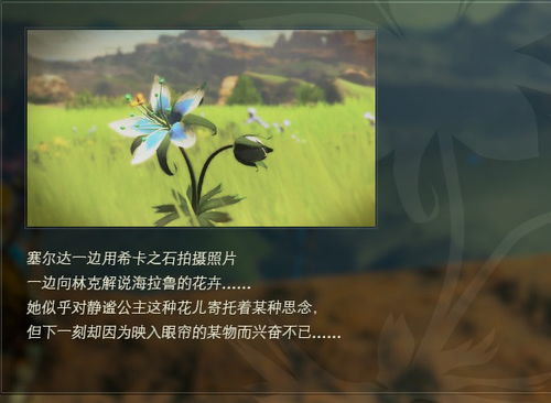 逝去的辉煌，经典软件的回忆与思索——以阿狸农场与传奇为例