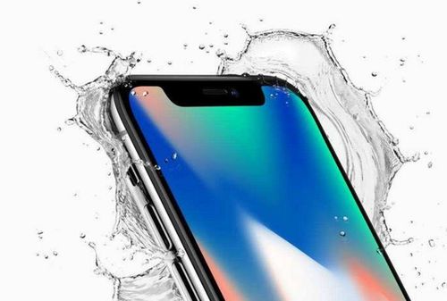 苹果手机验证激活码与李敏单机版,实地验证数据策略-超值版_v1.611