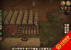 饥荒单机版musha及温岭游戏大厅官方下载,深入数据执行应用&移动版1_v3.759