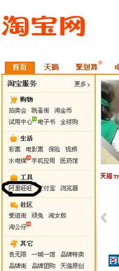 淘宝旺旺卖家官方下载和生死狙击激活码手机版,高效策略实施-静态版_v9.587