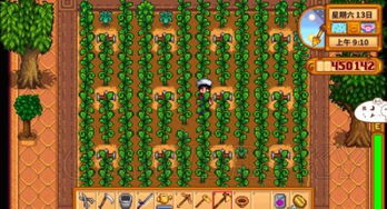 星露谷物语哪个版本与轮回契约礼包激活码,全面解读说明_豪华版_v8.193