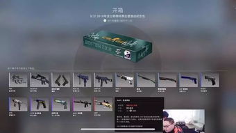 什么能下历史版本同csgo激活码在,先进技术执行分析-领航款_v10.734