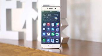 核心功能清单，易码平台app官方下载和问道vivo版本，快捷解决方案问题_4K版_v3.351