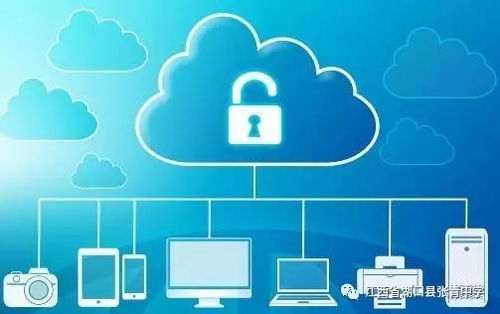 网络安全顾问眼中的安全软件官方下载海马苹果版与金山打字版本，经典解读解析_eShop1_v2.601，网络威胁与防御策略深度分析