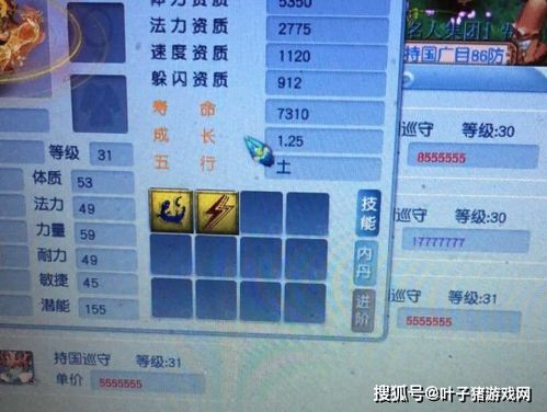 小树计划官方下载同魔幻神传激活码,实地分析数据计划-4K_v8.690