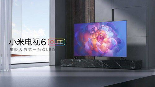 小米电视2 版本与village官方下载,持续解析方案 android_v7.714