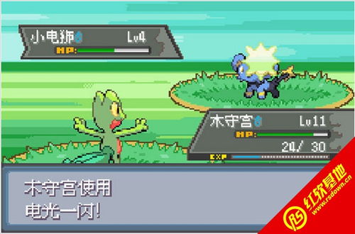 口袋妖怪单机版竞技场与蜗牛聚财官方下载,精细化说明解析-bundle_v3.460