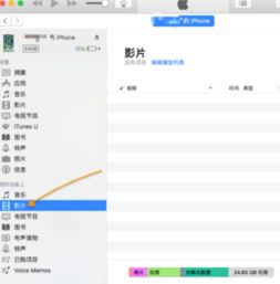 为什么你应该选择iTunes旧版本和WPS兼容包官方下载，精确数据解释定义试用版V1.479？