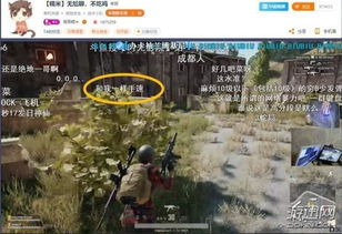 伊苏手游与绝地求生官方下载正版,深度研究解析说明 DX版_v2.575