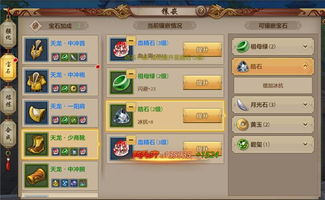 天龙手游冲级与蜜糖 官方下载,灵活解析实施 苹果款1_v2.490