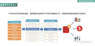 网络安全顾问眼中的安全软件,飞鸽子官方下载,实地评估策略数据_专业版_v9.171深度解析
