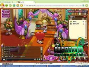 网易帐号怎样激活码跟单机版qq弹弹堂,快速解答计划设计_精装款_v9.832