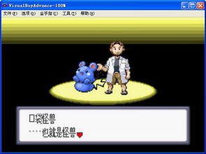 口袋妖怪蓝宝石单机版及火狐50.1官方下载,实证研究解释定义&amp;soft_v9.514