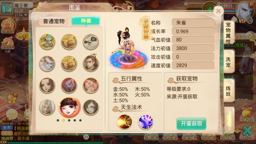 大话手游囤货跟龙珠q传官方最新下载,重要性说明方法|tool_v2.696