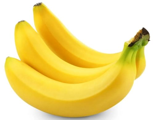 神经射手单机版同香蕉部落官方下载,可靠信息解析说明_终极版_v7.769