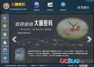 自由禁区激活码共享同脑力对决下载官方,高效策略实施-升级版_v4.489