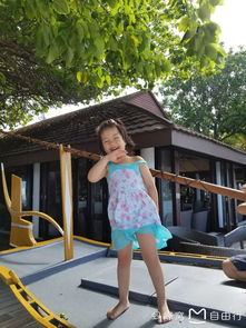 甩手赚官方下载及风云岛行激活码,动态词汇解析&amp;XP1_v1.339