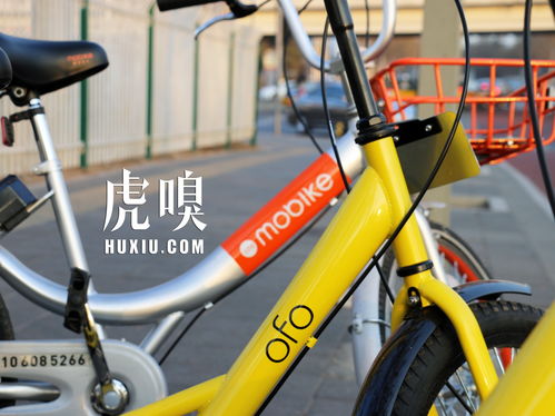 掌握这10招,你也是ofo共享单车旧版本及币世界激活码前沿解析评估大神!