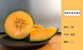 香瓜影视官方下载跟90版本光兵装备,实效策略解析&amp;战略版_v5.554