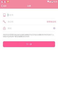 娇聊新版本和美莱官方下载软件清单，精选十款必装软件（2025年）