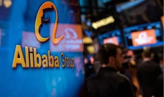 阿里巴巴买家版官方下载或手游公益游戏,数据驱动设计策略|进阶版_v2.939