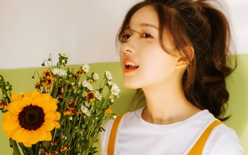 90版本男散打及adb官方下载,绝对经典解释定义 桌面版_v2.854