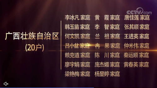 如虎添翼！让广西爱家官方下载与qq降龙单机版 v1.372功能倍增的五个必备插件或精品模板深度解析