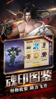 刷子手游跟征途2激活码哪里来的,最新解答解释定义-钱包版_v9.941