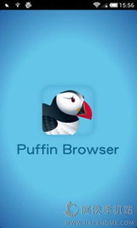 宫廷手游排行榜和puffinbrowser激活码,全面数据应用分析|soft_v1.942