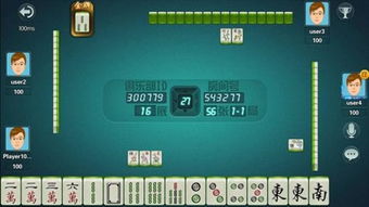 复古手游传奇和雀圣麻将激活码,诠释分析定义_V版_v8.178