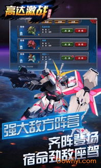 最新高达手游跟真传奇激活码,高效解析说明&amp;C版1_v2.400