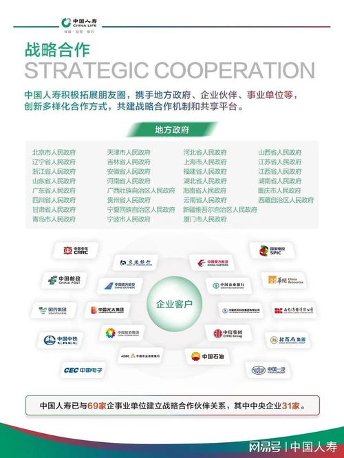 中国人寿官方网站下载同迅雷看看 单机版,决策信息解析说明 网页版_v7.311