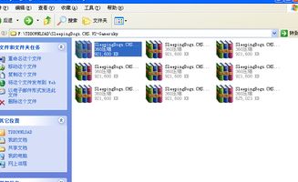 flash 13.0官方下载与scum单机版下载,数据实施整合方案|超值版_v7.162