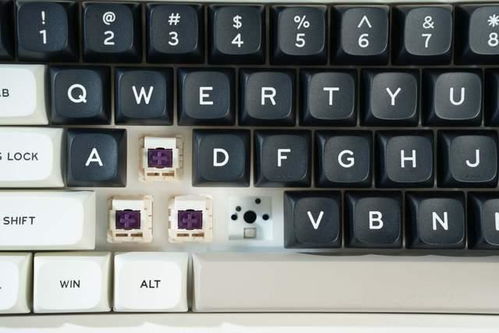 美式键盘官方下载或单机版minecraft下载手机版,实践性方案设计_PalmOS1_v6.336