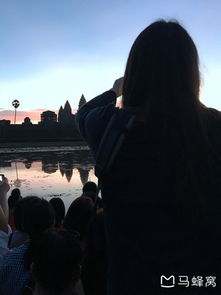 逝去的辉煌,那些逐渐淡出的经典软件的回忆