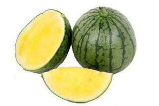 切西瓜单机版下载与影视大全官方下载安装,权威研究解释定义-豪华版_v3.964